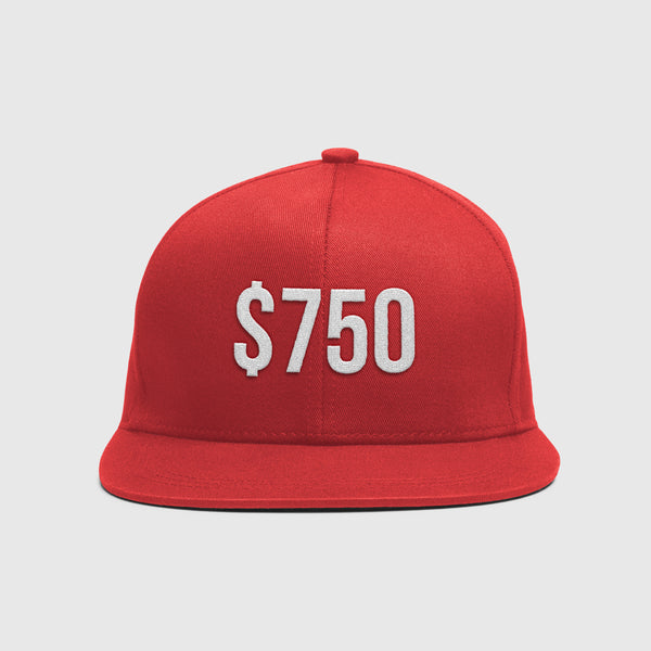 Tax Genius Snapback Hat